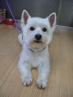 2012-08-30 13.47.44.jpg